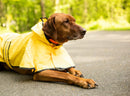 Fashion Pet Dog Rain Jacket With Hood - Yellow - 660204010542