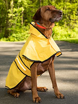 Fashion pet rain coat XXL