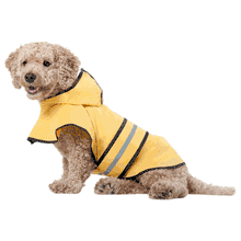 Fashion pet rain coat XXL