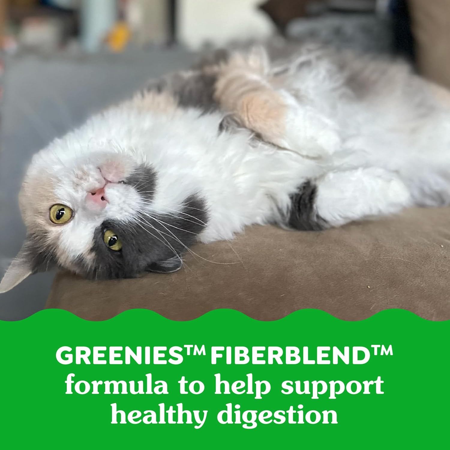 Feline greenies chicken flavor smart bites