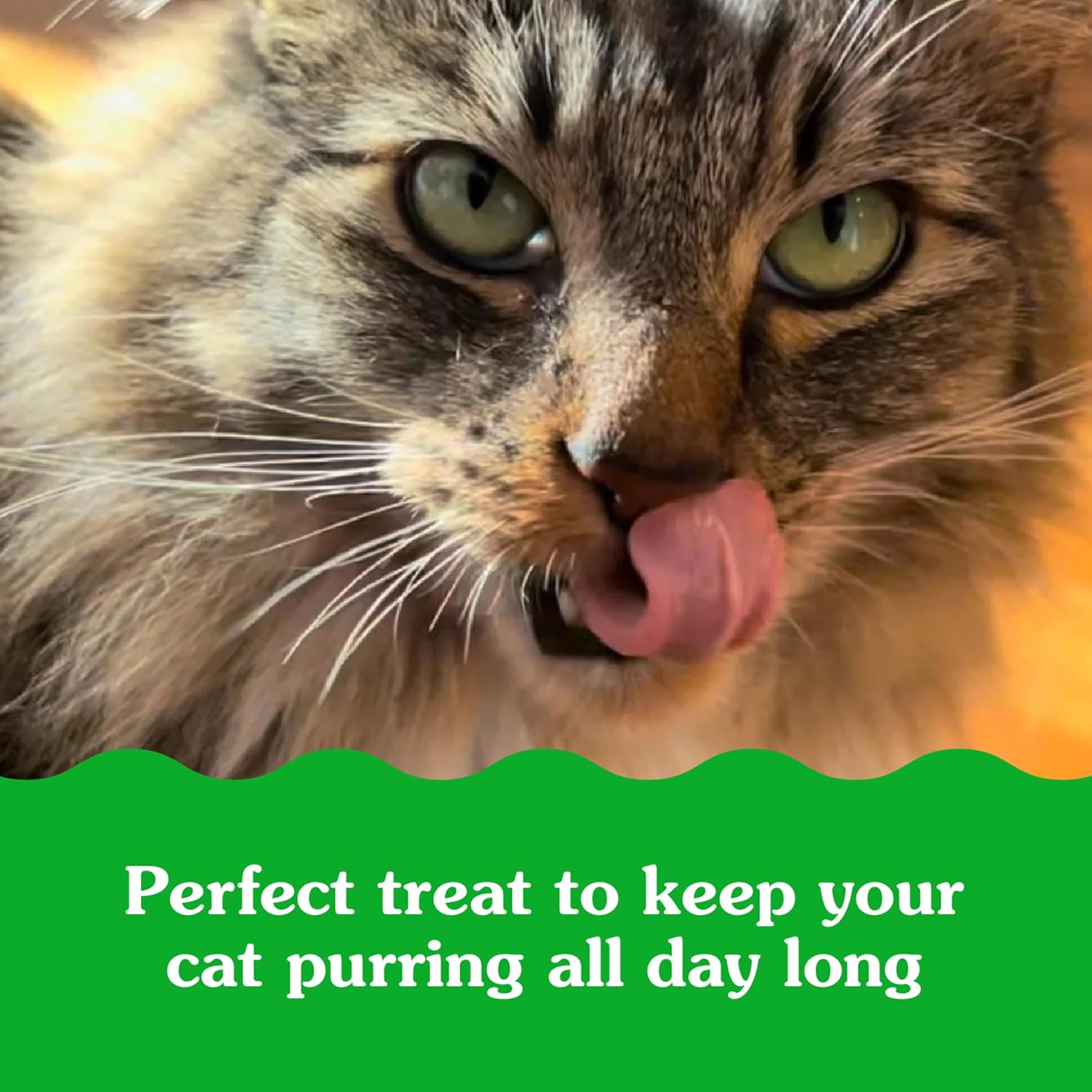 Feline greenies chicken flavor smart bites