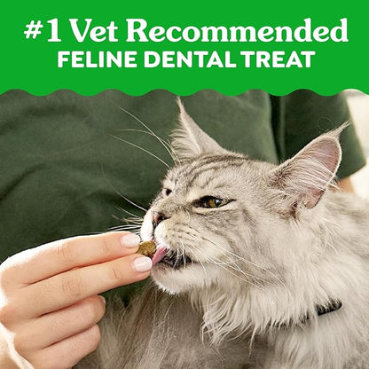 Feline greenies dental treats catnip flavor 9.75 oz