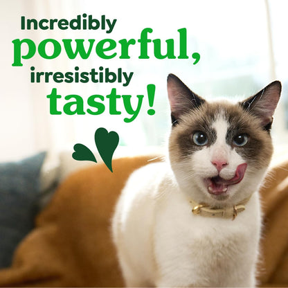 Feline greenies dental treats catnip flavor 9.75 oz