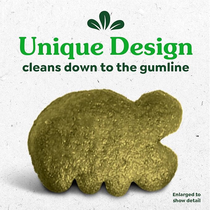 Feline greenies dental treats catnip flavor 9.75 oz