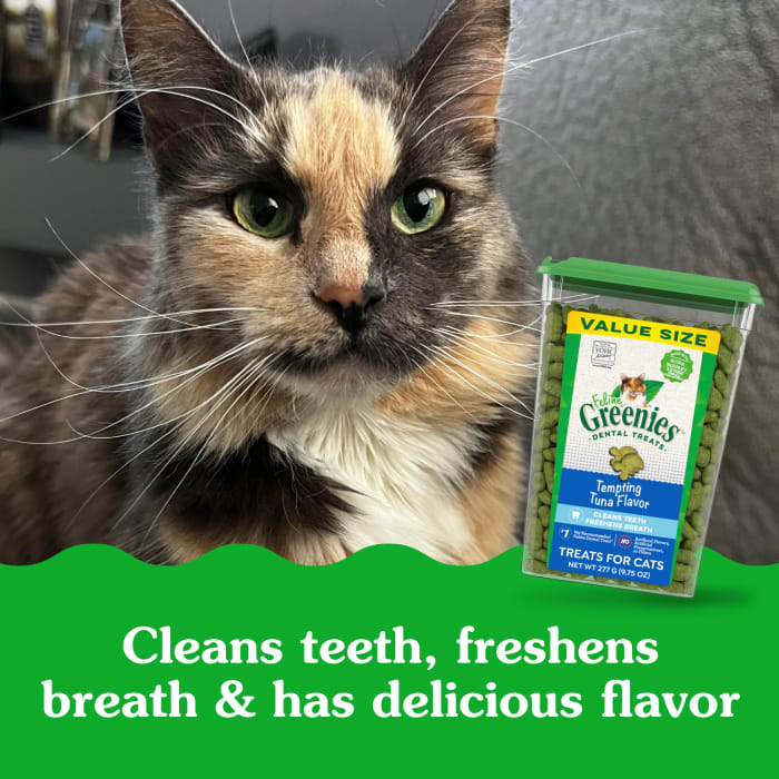 Feline greenies dental treats tuna flavor 9.75 oz