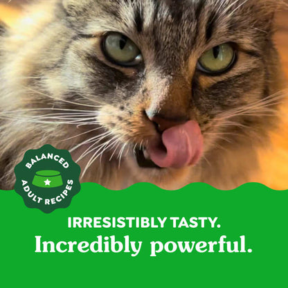 Feline greenies dental treats tuna flavor 9.75 oz