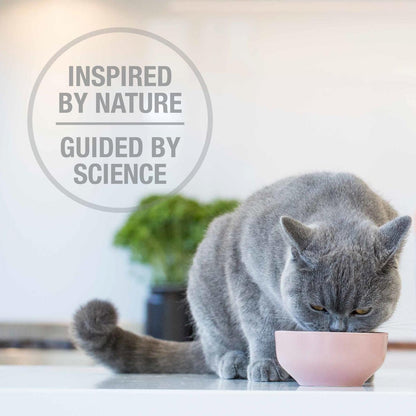 Feline natural New Zealand lamb and king salmon feast feed or top cat food 3.5 oz