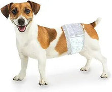 Four paws wee wee disposable male wraps XS - Small 12ct 13 - 20” waist dog male wraps