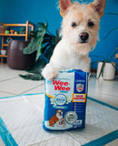 Four Paws Wee - Wee Odor Control with Febreze Freshness Pee Pads for Dogs - Dog & Puppy Pads for Potty Training - Dog Housebreaking & Puppy Supplies - 22" x 23" - 10 Count - dog pads - 045663974381