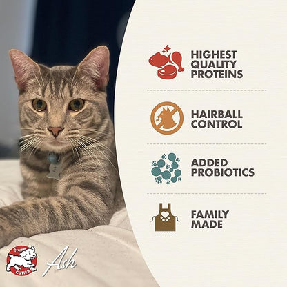 Fromm family indoor cat hairball control gold adult cat food