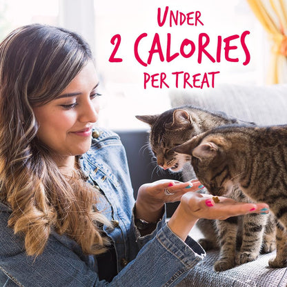 Fruitables Cat Crunchy Treats For Cats – Healthy Low Calorie Packed With Protein Free Of Wheat, Corn And Soy – Made With Real Salmon With Cranberry – 2.5 Ounces