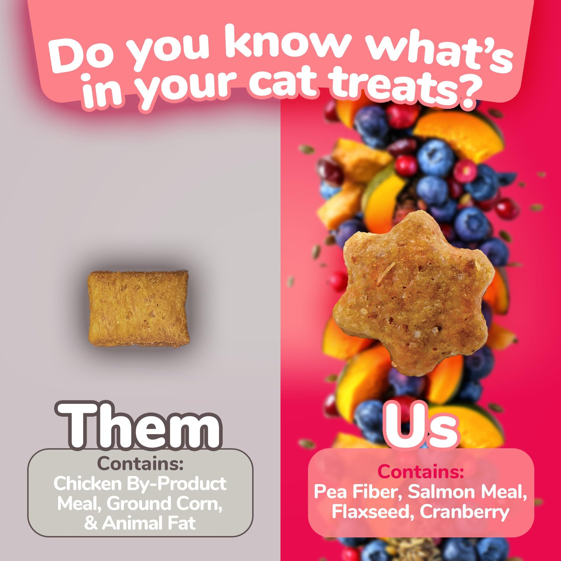 Fruitables Cat Crunchy Treats For Cats – Healthy Low Calorie Packed With Protein Free Of Wheat, Corn And Soy – Made With Real Salmon With Cranberry – 2.5 Ounces