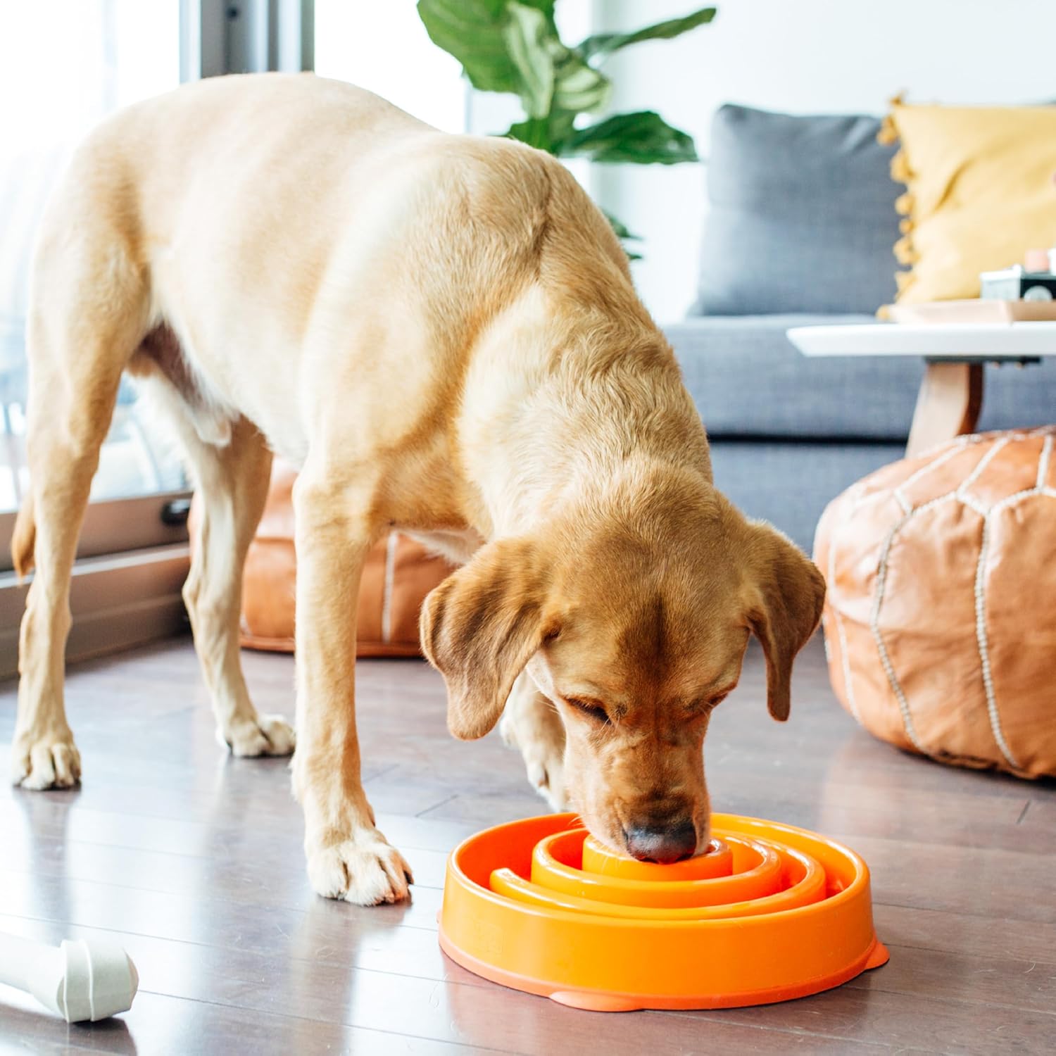 Fun feeder slo bowl dog bowl