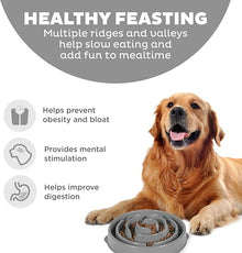Fun feeder slo bowl outward hound