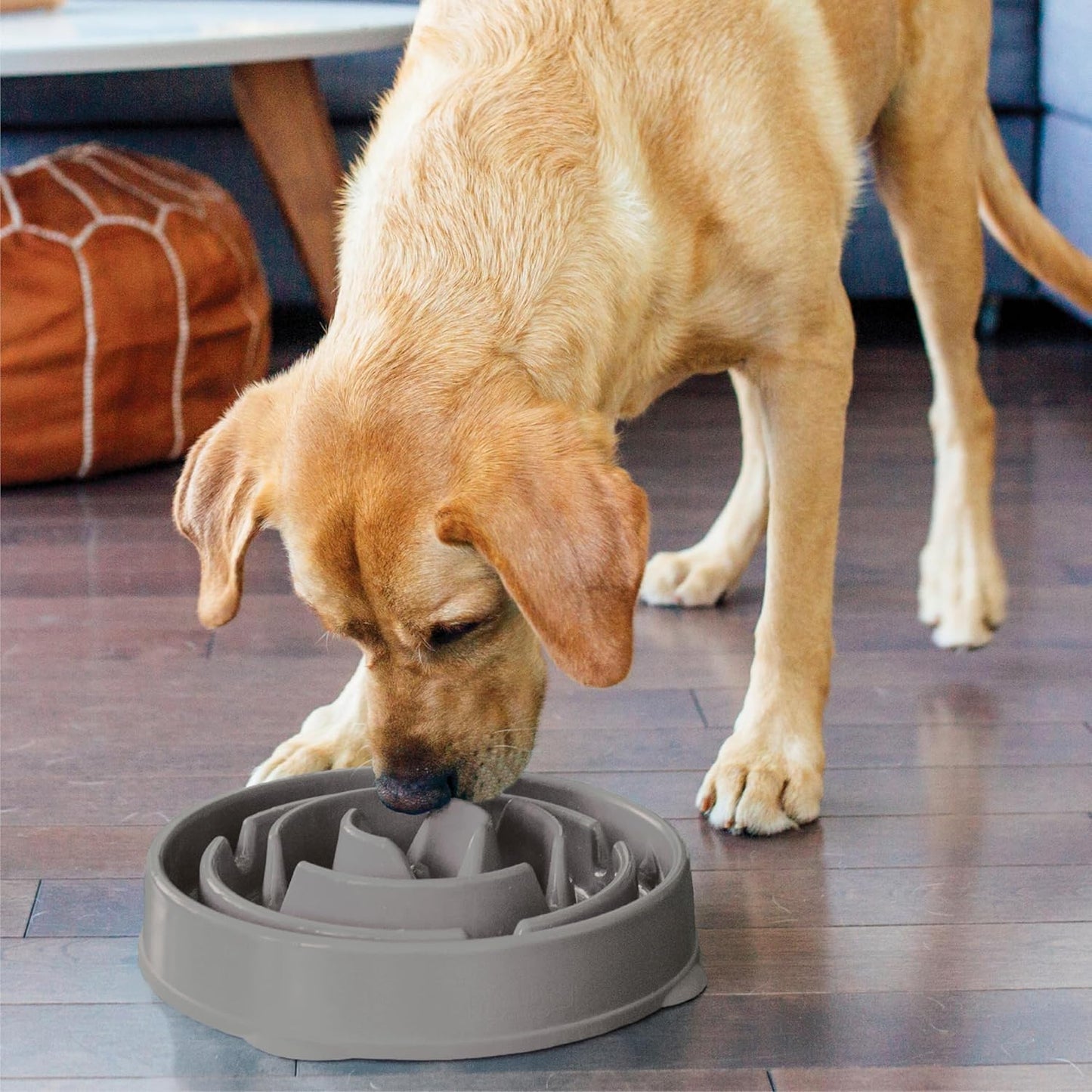 Fun feeder slo bowl outward hound