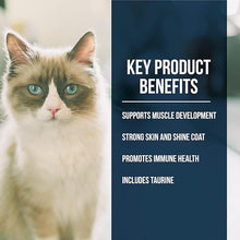 Fussie cat salmon recipe 4Lb cat dry kibble