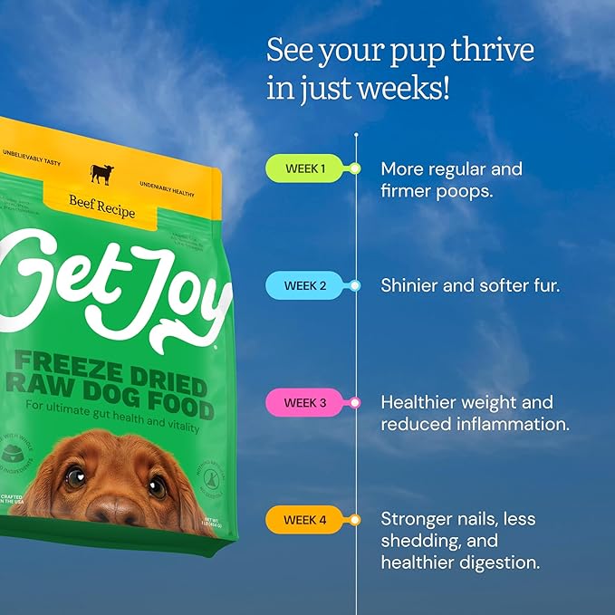 Get Joy Beef Recipe Human - Grade All Life Stages Freeze - Dried Raw Dog Food, 16 - oz bag