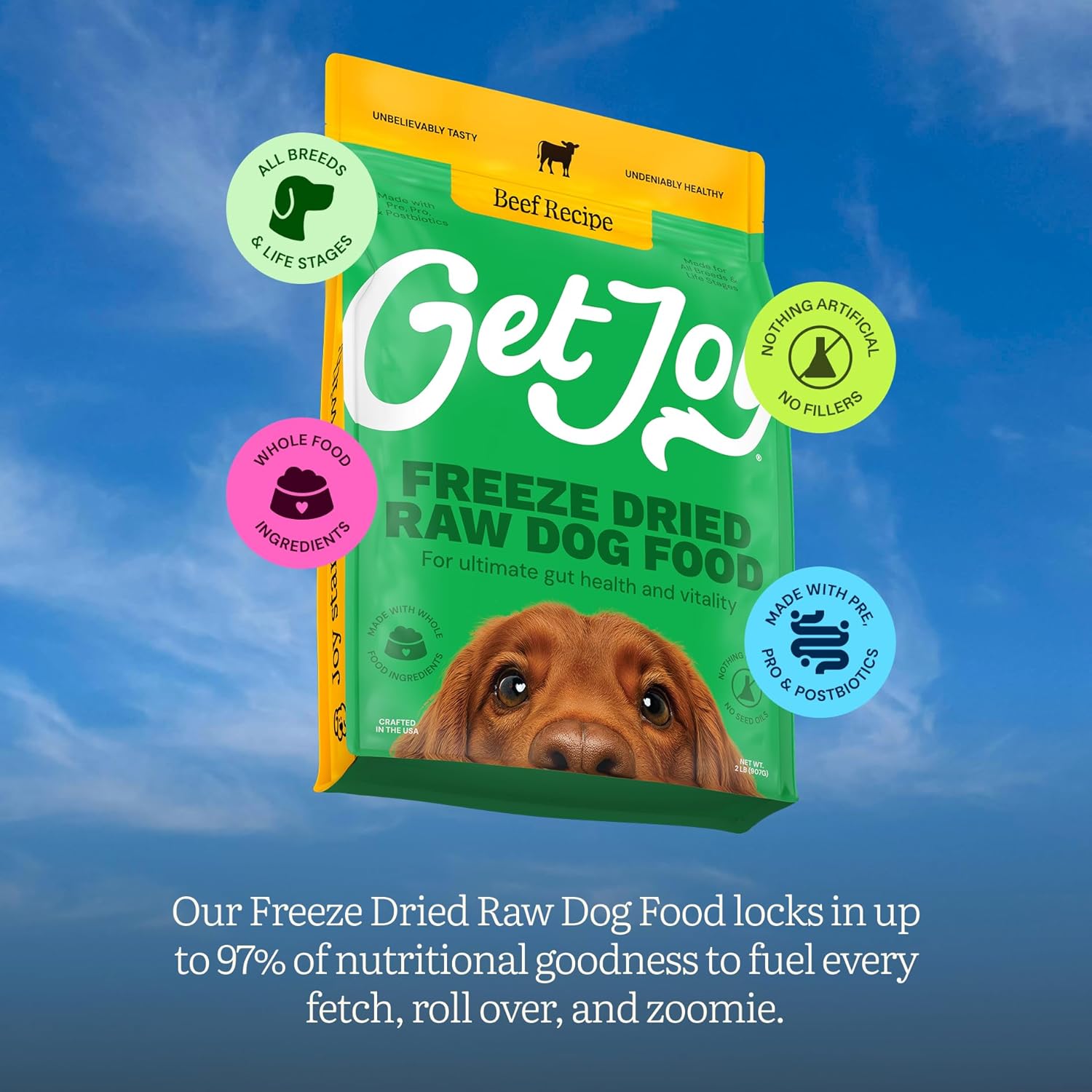 Get Joy Beef Recipe Human - Grade All Life Stages Freeze - Dried Raw Dog Food, 16 - oz bag