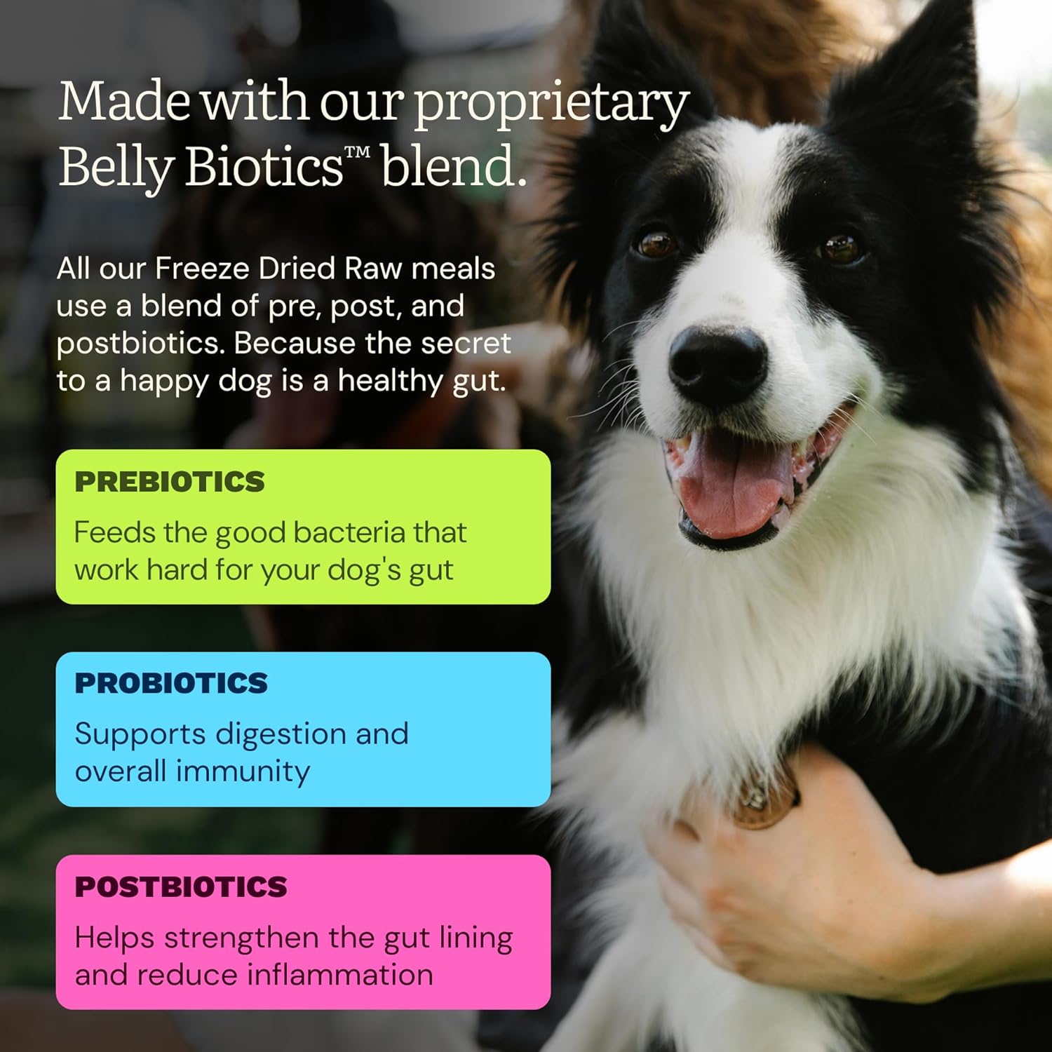 Get Joy Beef Recipe Human - Grade All Life Stages Freeze - Dried Raw Dog Food, 16 - oz bag