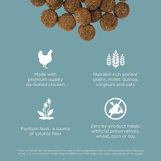 Go solutions digestion gut health chicken recipe with ancient grains 3.5 lbs