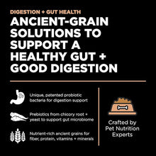 Go solutions digestion gut health salmon recipe with ancient grains 3.5 lbs