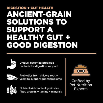 Go solutions digestion gut health salmon recipe with ancient grains 3.5 lbs