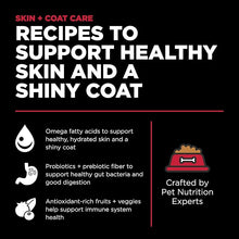 Go solutions skin and coat care lamb recipe 3.5lb dog food