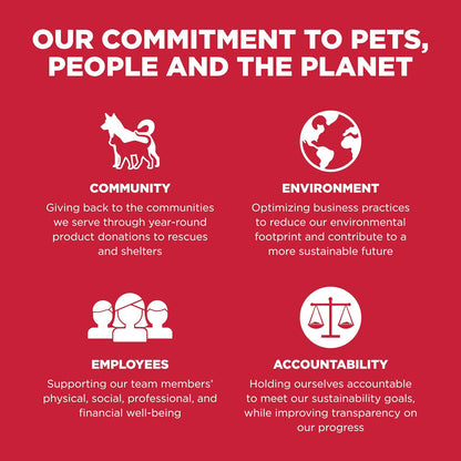 Go solutions skin and coat care lamb recipe 3.5lb dog food