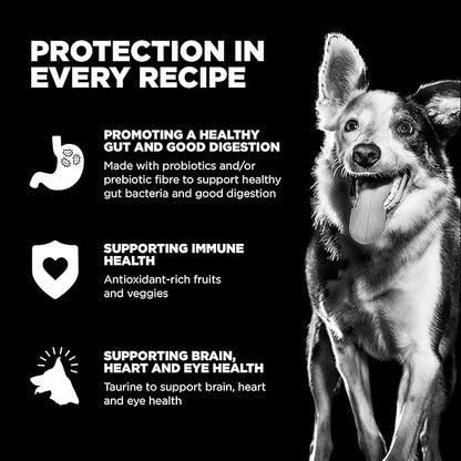 Go solutions skin and coat care lamb recipe 3.5lb dog food