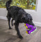 goDog Dinos Bruto Squeaky Plush Dog Toy, Chew Guard Technology - Purple, Large - 743723709606