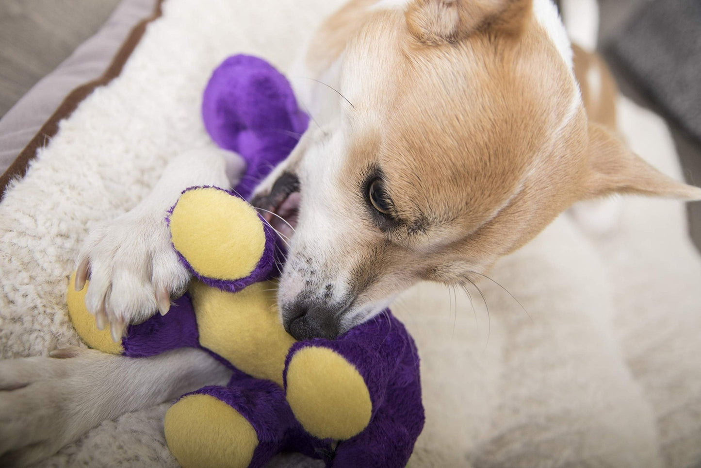 goDog Dinos Bruto Squeaky Plush Dog Toy - Chew Guard Technology - Purple - Small
