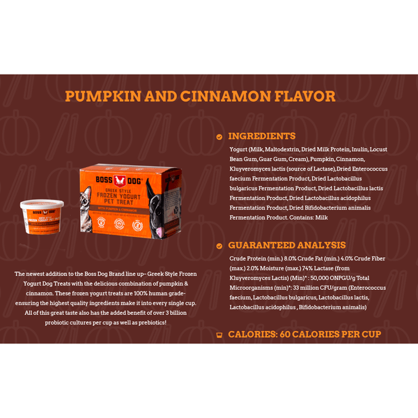 Greek style frozen pet treat pumpkin and cinnamon