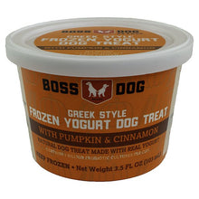 Greek style frozen pet treat pumpkin and cinnamon