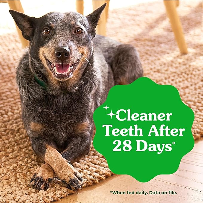 Greenies dental treats puppy 6 months 6 oz