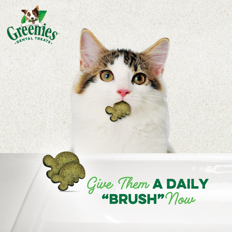 Greenies Feline Adult Natural Dental Care Cat Treats - Catnip Flavor - 2.1 oz Pouch - cat treat - 642863111365