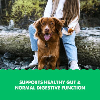 Grizzly gut health supplements 16 fl oz