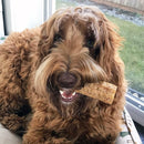 Happy Teeth Natural Cheese Dog Chews | Peanut Butter Flavor | Dental Chew | Protein Rich | Gluten Free - Lactose Free - Wheat Free - Soy Free | 2 Happy Teeth Chews per Resealable Pouch - dental dog treats - 857164007471