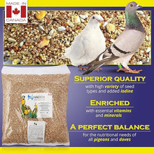 Hari Hagen Seed Blend Budgie Bird Food, 25 - lb bag