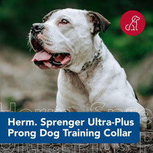 Herm Sprenger Pinch Dog Collar with Quick Release Snap Large - dog collar - 076484182204