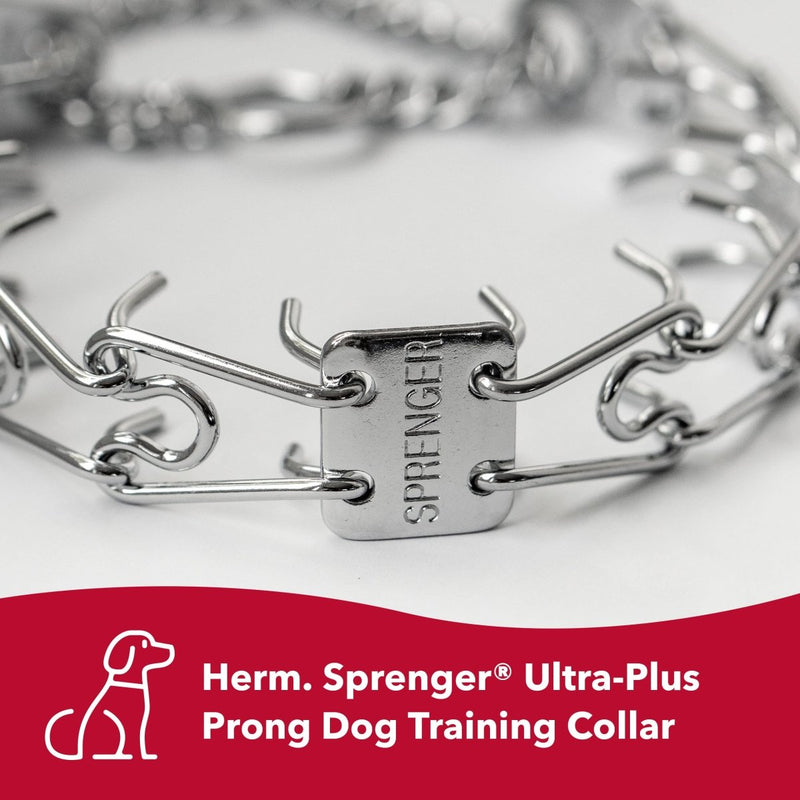 Herm Sprenger Slip On Pinch - Prong Dog Training Collar Silver - 2.5Mm - Neck 12 - dog collar - 076484510007