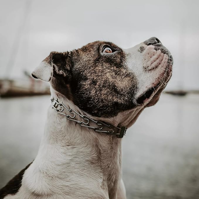 Herm Sprenger Ultra - Plus Prong Dog Training Collar with Latch