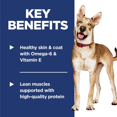 Hill Science Diet veterinarian recommended adult 1 - 6 dog food 14lbs