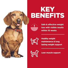 Hills science diet small & mini adult perfect weight dry dog food kibble 4lbs chicken recipe 3821