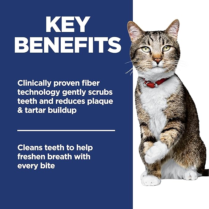 Hills science diet speciality oral care adult cat