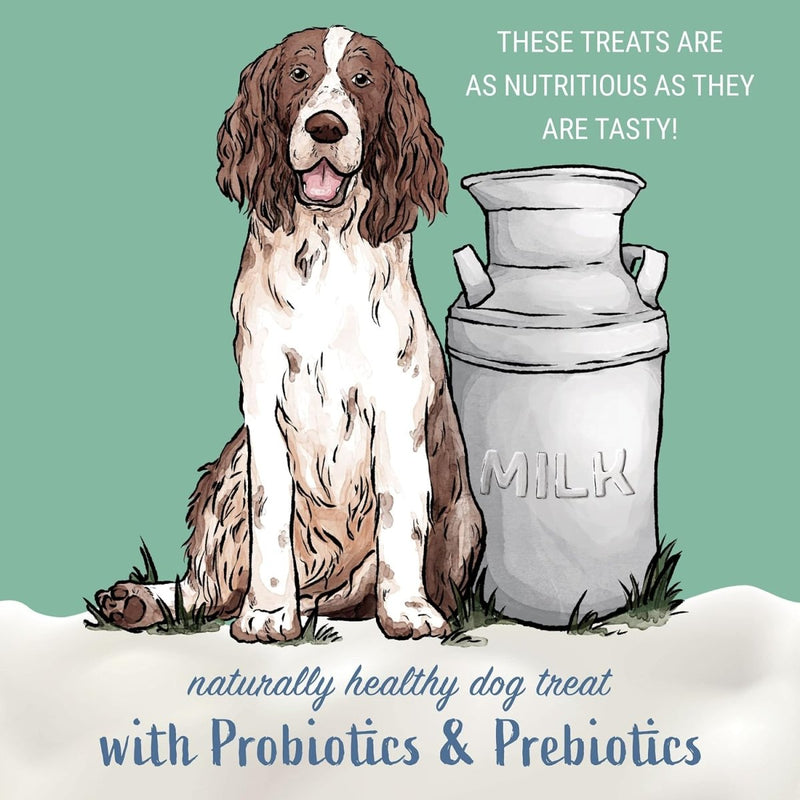 Himalayan Yogurt Sticks Prebiotic & Probiotics Protein Rich - Lactose Free - Gluten Free - Corn Free - Grain Free - 5 pieces of Droolicious Yogurt Sticks - Yogurt Flavor - dog treats probiotics - 850008942198