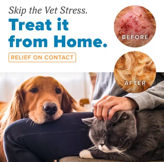 Home vet skin medicated itch and allergy spray