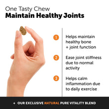 Honesty Hip & Joint Health - Dog Joint Support Supplement - Advanced Pet Vitamin - Joint Chews Support and Mobility - Chicken - dog supplies - 850005524076