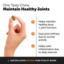 Honesty Hip & Joint Health - Dog Joint Support Supplement - Advanced Pet Vitamin - Joint Chews Support and Mobility - Chicken - dog supplies - 850005524076