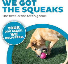 Hound orbee - tuff squeak ball