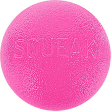 Hound orbee - tuff squeak ball